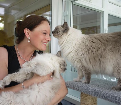 cat treats - cuddles