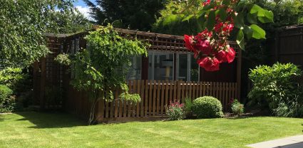 Longcroft-Luxury-Cat-Hotel-Winchmore-Hill-Amersham-Buckinghamshire