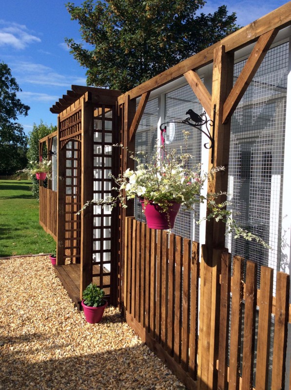 Longcroft Fontwell Luxury Cat Hotel