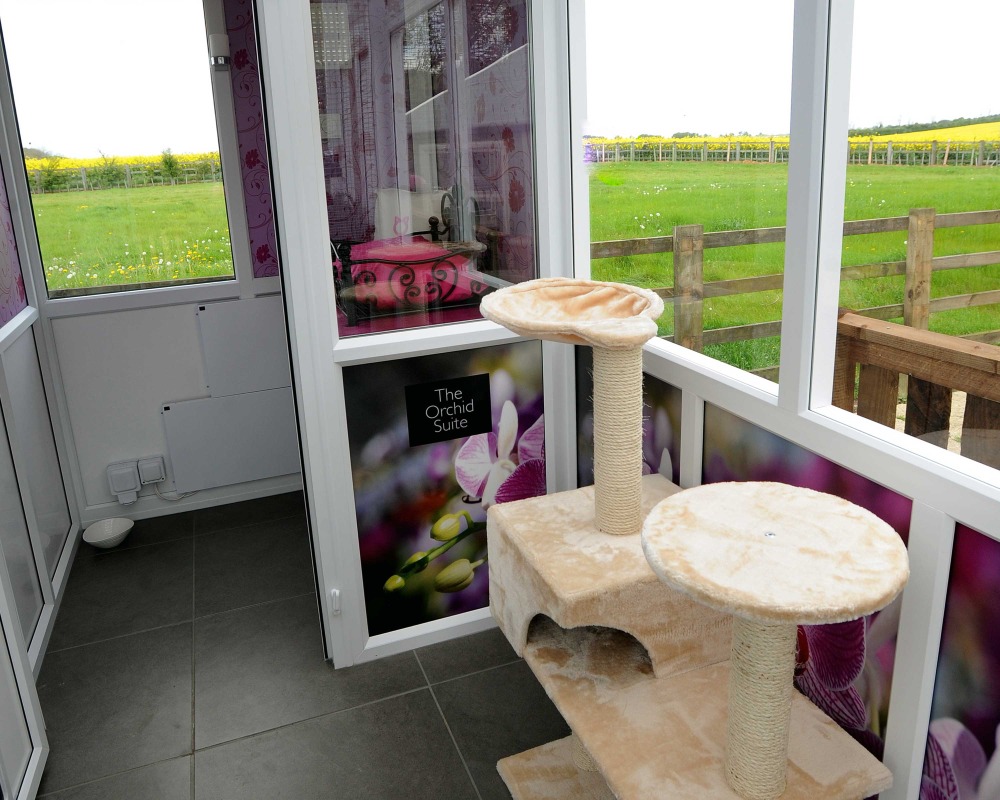 Escape to the Country at Longcroft Cat Hotel