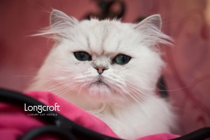 free desktop wallpaper Longcroft