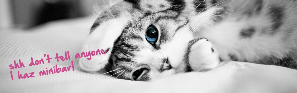 Longcroft Luxury Cat Hotel All Inclusive