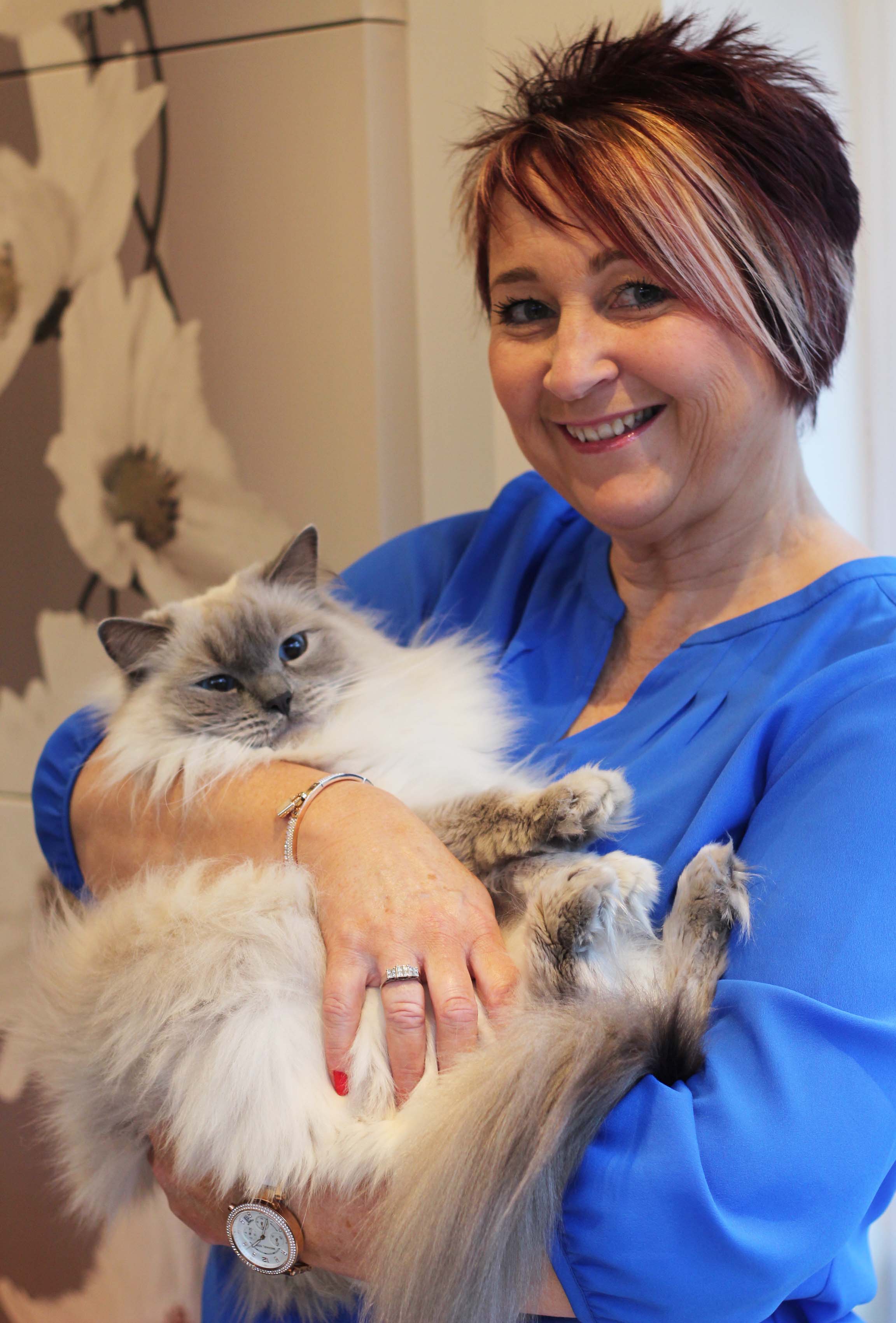 Aly Rochester Longcroft Luxury Cat Hotel Luton Bedfordshire