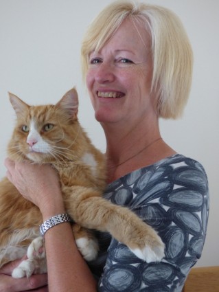 Longcroft Luxury Cat Hotel Fontwell Cattery Chichester Cat Diary