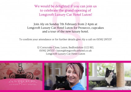 Longcroft Luxury Cat Hotel Luton Bedfordshire