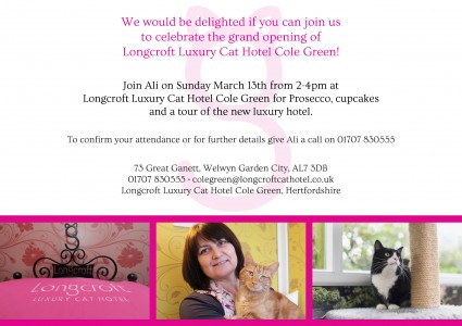 Longcroft Luxury cat Hotel Cole Green Hertfordshire