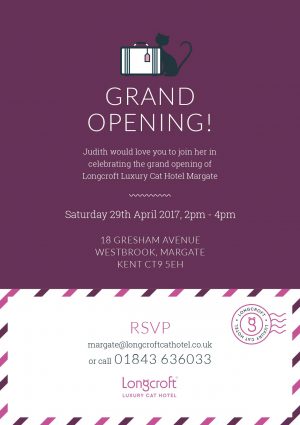 Longcroft Luxury Cat Hotel Margate Kent Grand Open Day Cattery