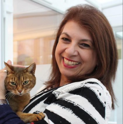 Longcroft Luxury Cat Hotel Barnet London Loria Collard
