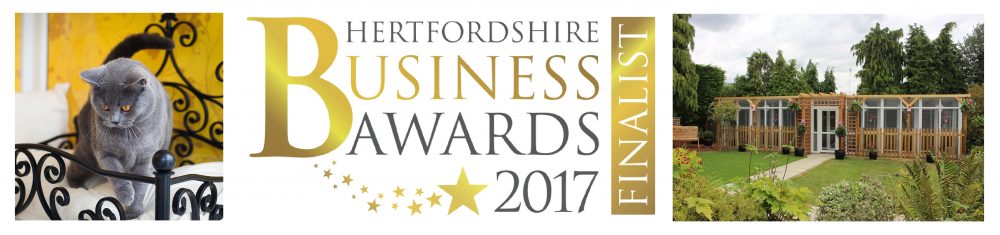 Herts Business Awards Winners | Longcroft | Luxury Cat Hotel Group