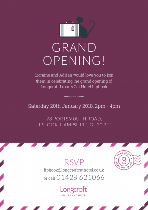 Longcroft Luxury Cat Hotel Liphook Grand Open Day
