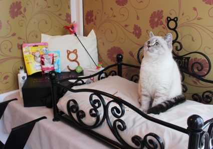 Longcroft Christmas Cat Hotel