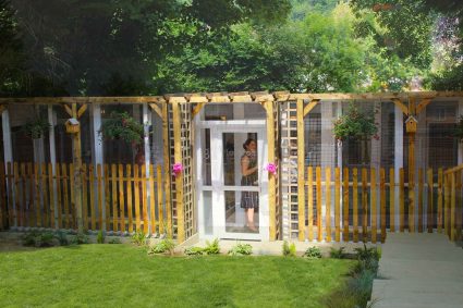 Longcroft Luxury Cat Hotel Kenley Greater London