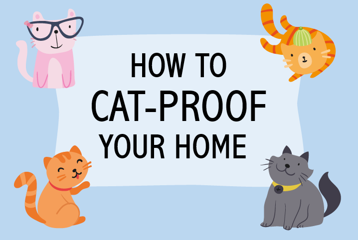 How to cat-proof your home