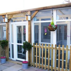 Longcroft Luxury Cat Hotel Flitwick Bedfordshire