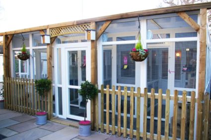 Longcroft Luxury Cat Hotel Flitwick Bedfordshire
