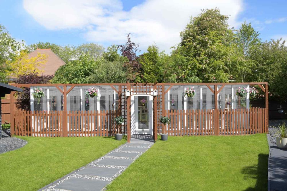 Longcroft-Luxury-Cat-Hotel-Tring