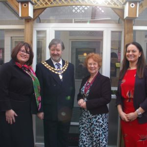 Longcroft Luxury Cat Hotel Flitwick Bedfordshire
