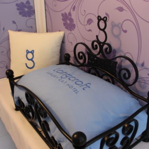 Longcroft Luxury Cat Hotel Flitwick Bedfordshire