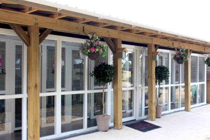 Longcroft Luxury Cat Hotel Romsey, Hampshire