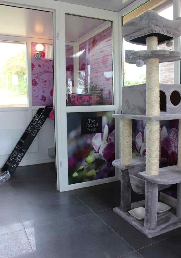 Longcroft Luxury Cat Hotel Romsey / Hampshire Longcroft Luxury Cat Hotel