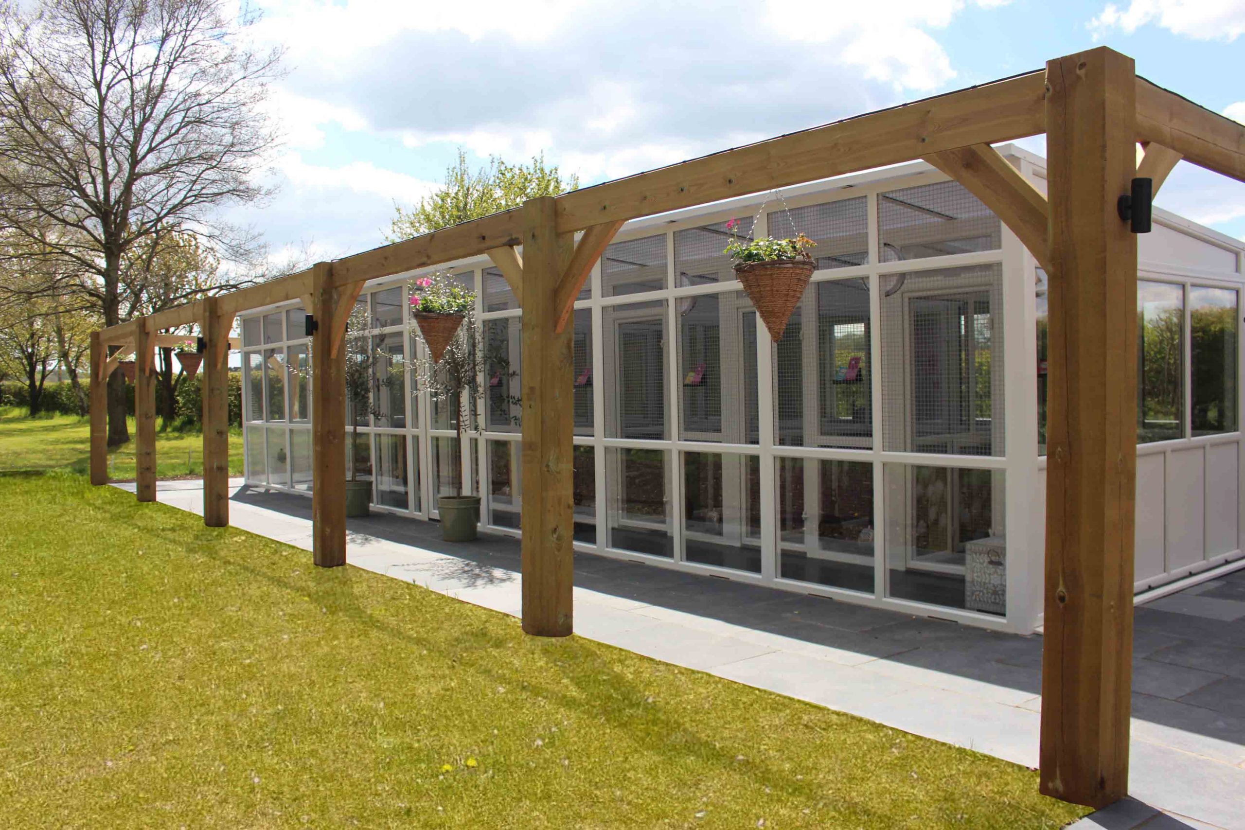 Longcroft Luxury Cat Hotel Bury St Edmunds Suffolk Longcroft Luxury Cat Hotel Longcroft Luxury Cat Hotel Bury St Edmunds Suffolk Longcroft Luxury Cat Hotel