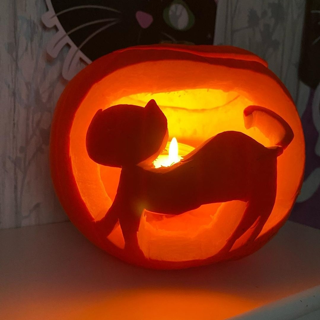 entry 1 Longcroft Luxury Cat Hotel