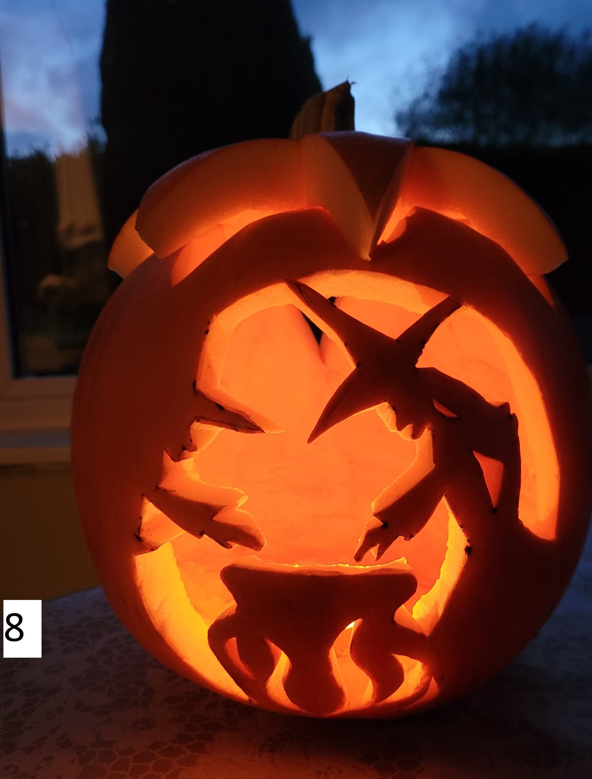 20231028_183004 Longcroft Luxury Cat Hotel