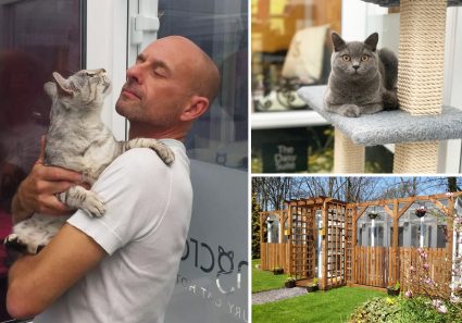 Harvey Longcroft Luxury Cat Hotel Southport