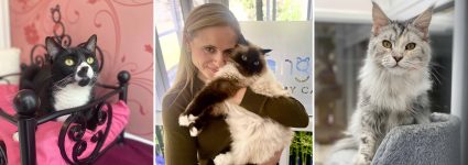 Natasha, proud owner of Longcroft Luxury Cat Hotel Wymondham, Norfolk