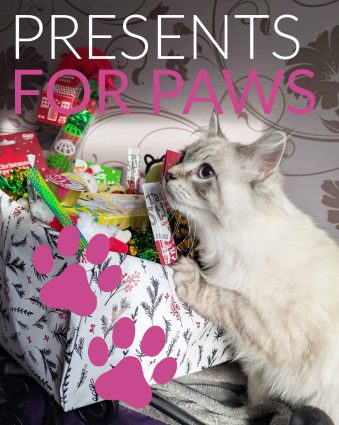 Longcroft Cat Hotel Presents for Paws initiative