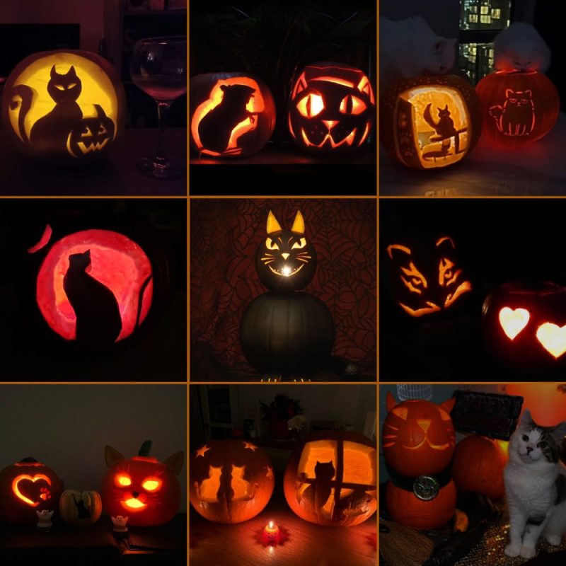 Longcroft Pumpkin Competition